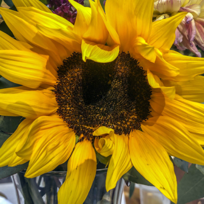 Winter Solstice Thoughts