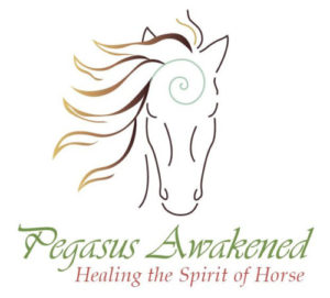 Pegasus Awakened Logo