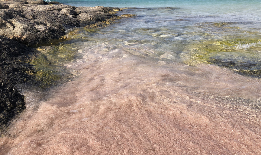 Elafonisi Beach