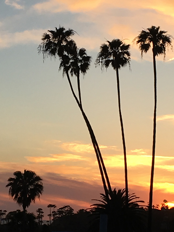 Heisler Park