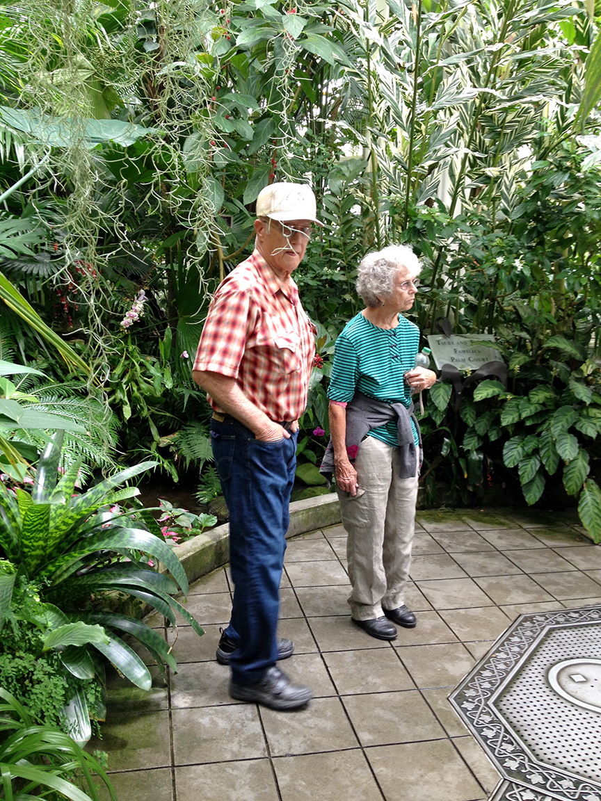 San Francisco Botanical Gardens