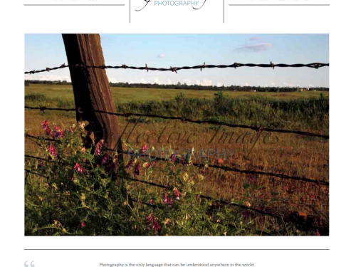 Reflective Images Photography