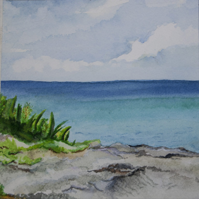 Cozumel Island Coastine