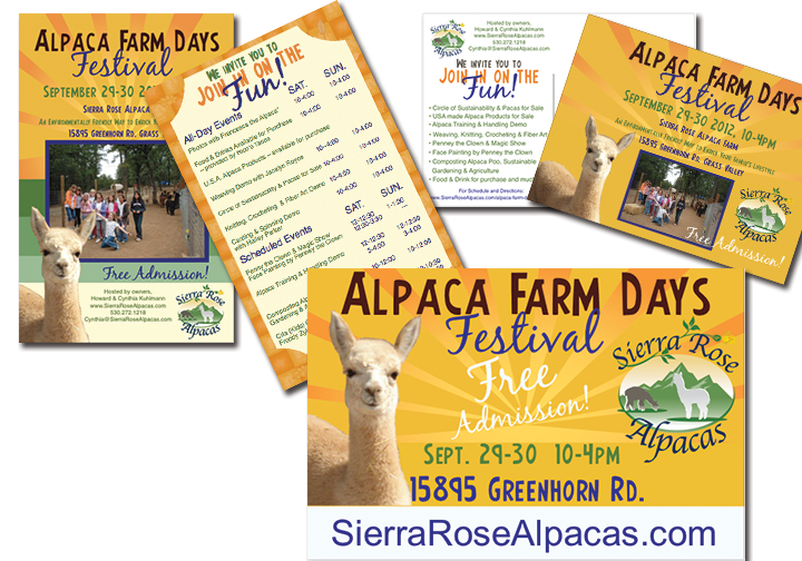 Event Handout and Postcard